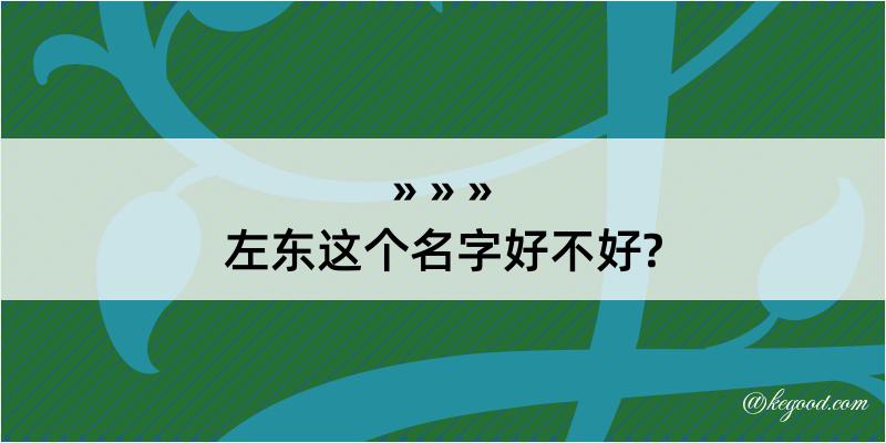 左东这个名字好不好?