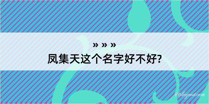 凤集天这个名字好不好?