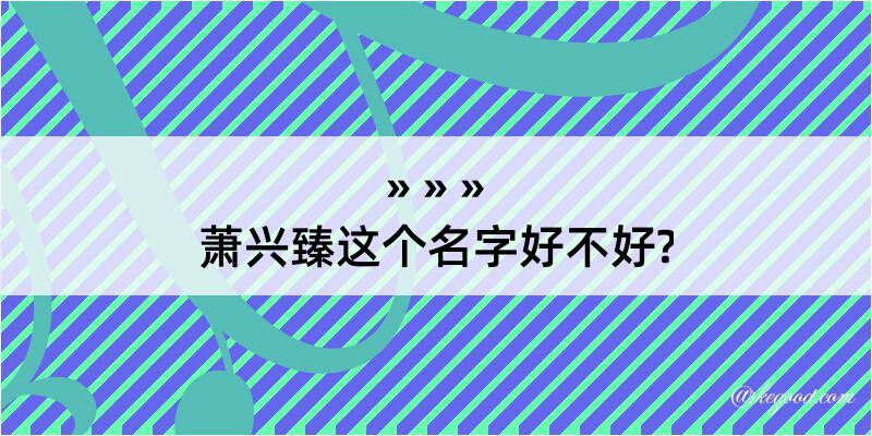 萧兴臻这个名字好不好?