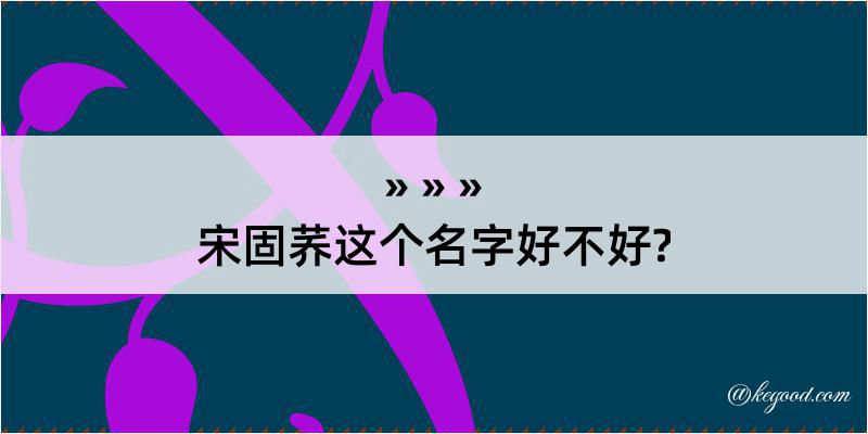 宋固荞这个名字好不好?