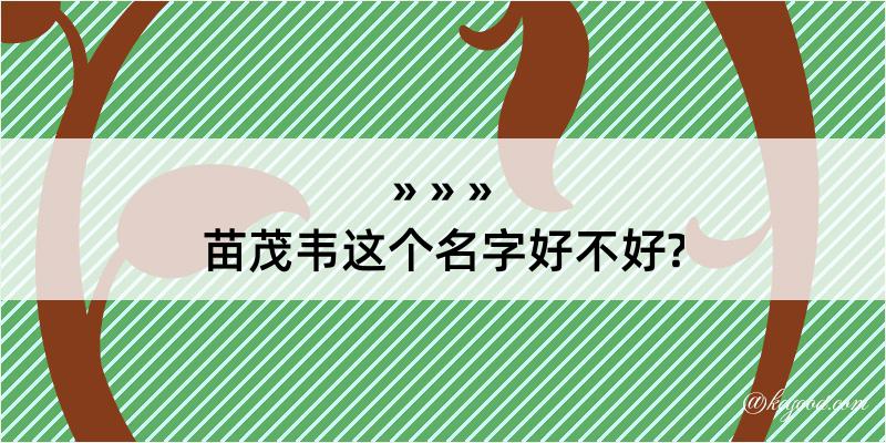 苗茂韦这个名字好不好?