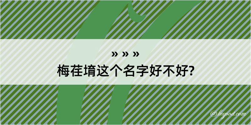 梅荏堉这个名字好不好?