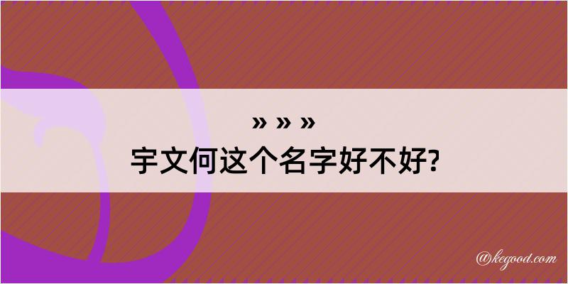 宇文何这个名字好不好?