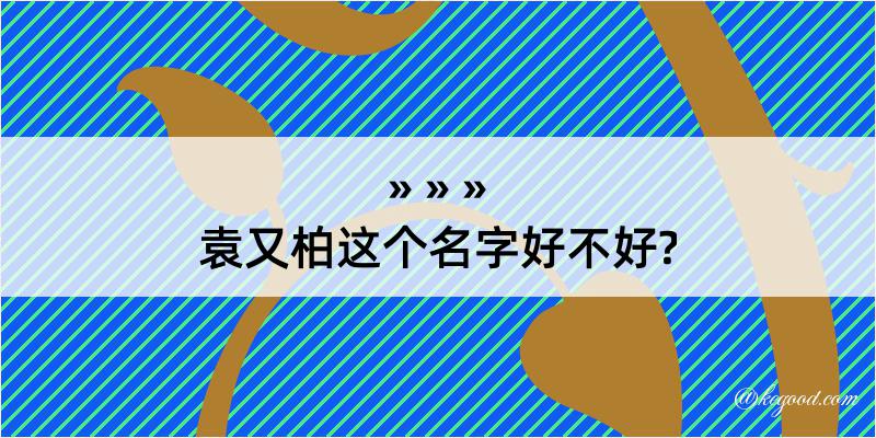 袁又柏这个名字好不好?