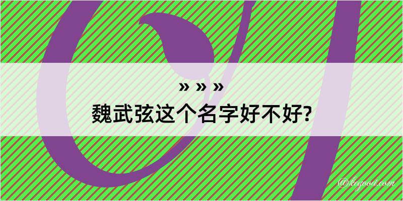 魏武弦这个名字好不好?