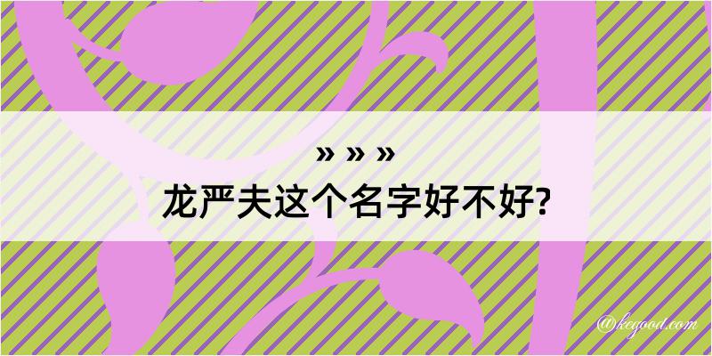 龙严夫这个名字好不好?