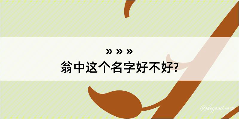 翁中这个名字好不好?