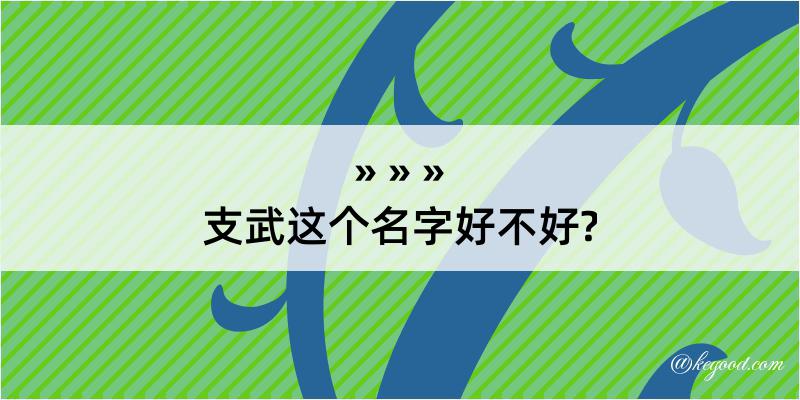 支武这个名字好不好?