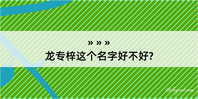 龙专梓这个名字好不好?