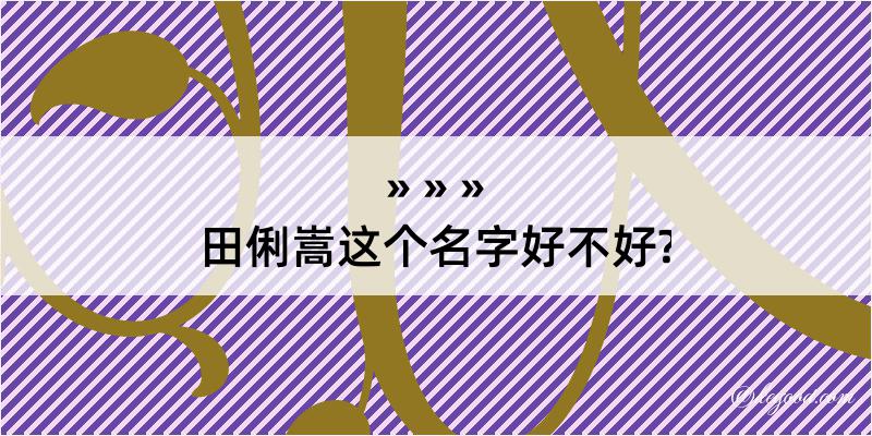 田俐嵩这个名字好不好?