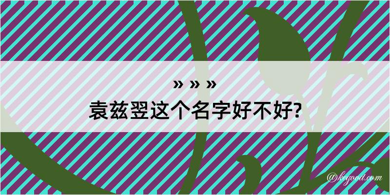 袁兹翌这个名字好不好?