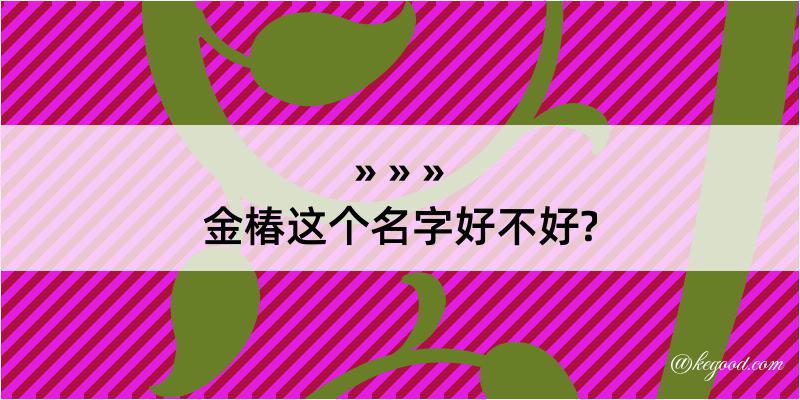 金椿这个名字好不好?