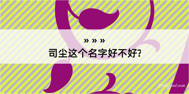 司尘这个名字好不好?