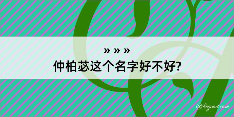 仲柏苾这个名字好不好?