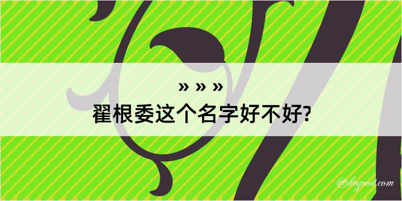 翟根委这个名字好不好?