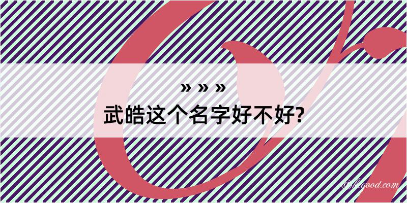 武皓这个名字好不好?