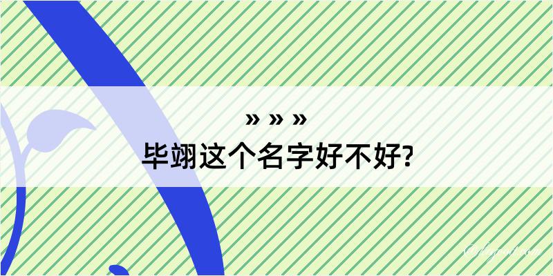 毕翊这个名字好不好?