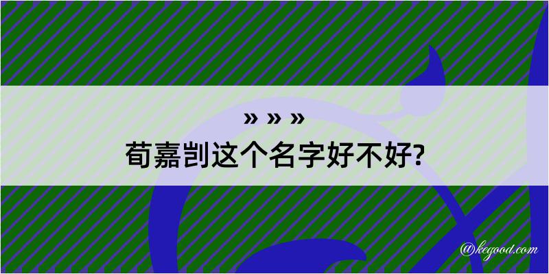 荀嘉剀这个名字好不好?