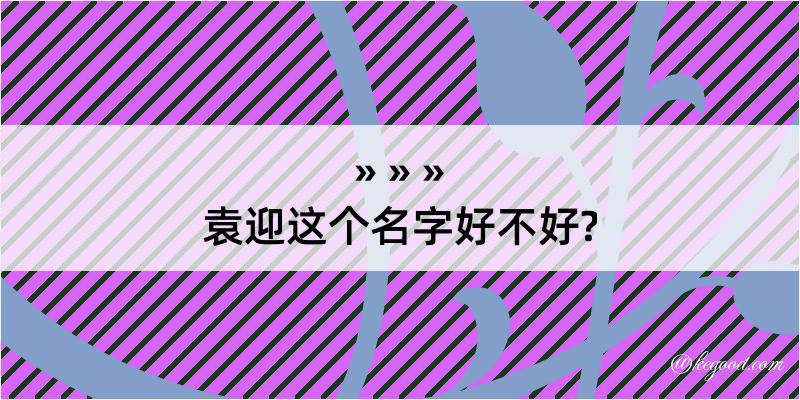 袁迎这个名字好不好?