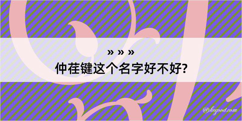 仲荏键这个名字好不好?