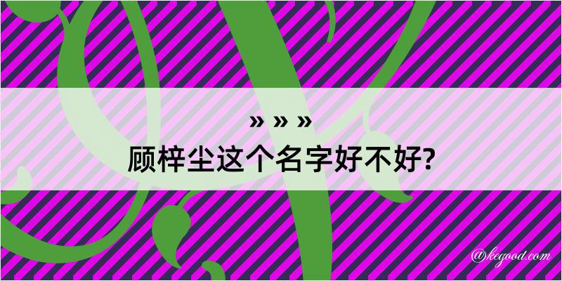 顾梓尘这个名字好不好?