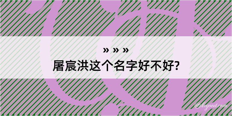 屠宸洪这个名字好不好?