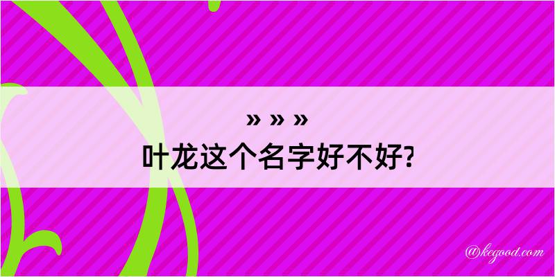 叶龙这个名字好不好?