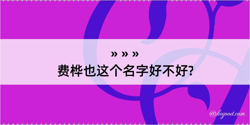 费桦也这个名字好不好?