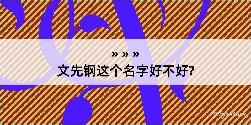 文先钢这个名字好不好?