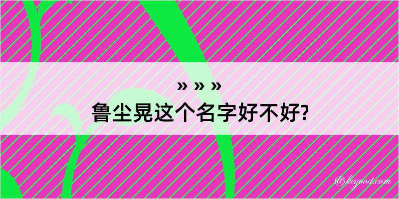 鲁尘晃这个名字好不好?