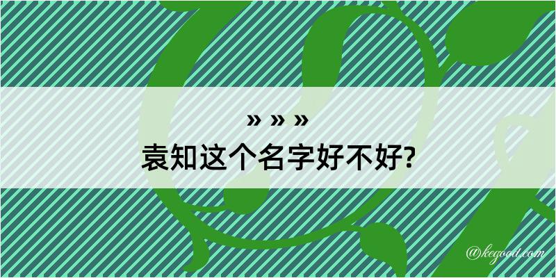 袁知这个名字好不好?