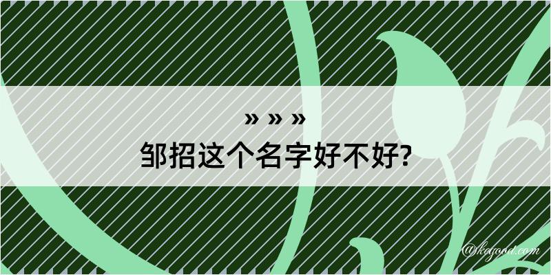 邹招这个名字好不好?