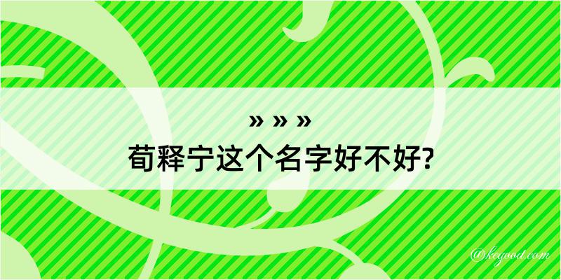 荀释宁这个名字好不好?