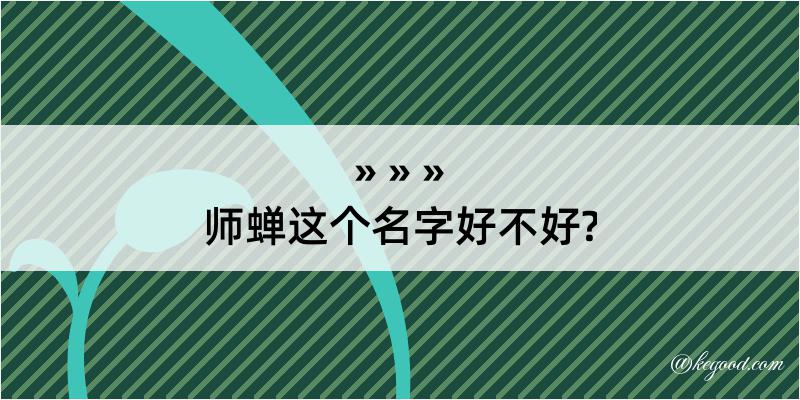 师蝉这个名字好不好?