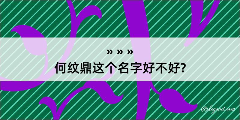 何纹鼎这个名字好不好?