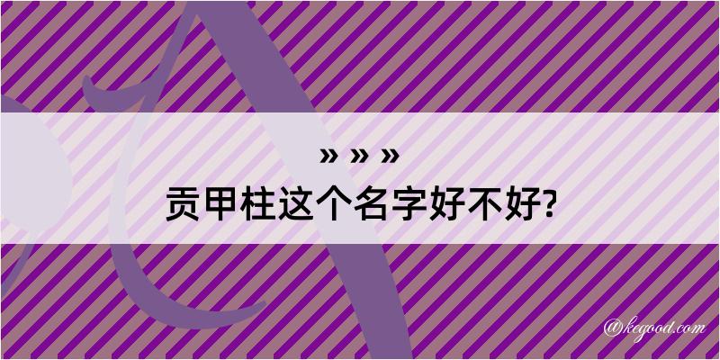 贡甲柱这个名字好不好?