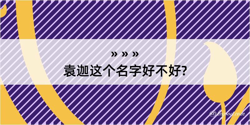 袁迦这个名字好不好?