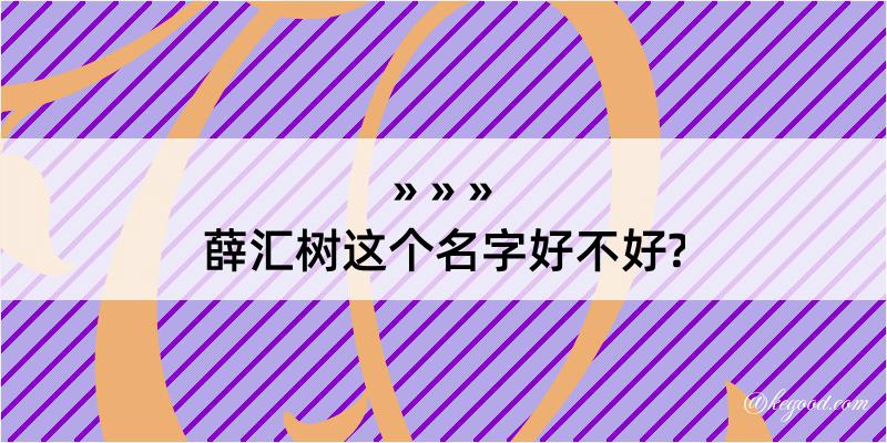 薛汇树这个名字好不好?