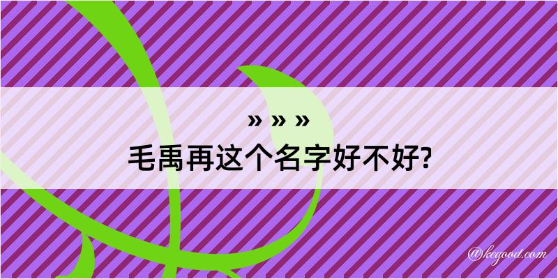 毛禹再这个名字好不好?