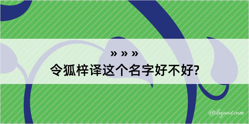 令狐梓译这个名字好不好?