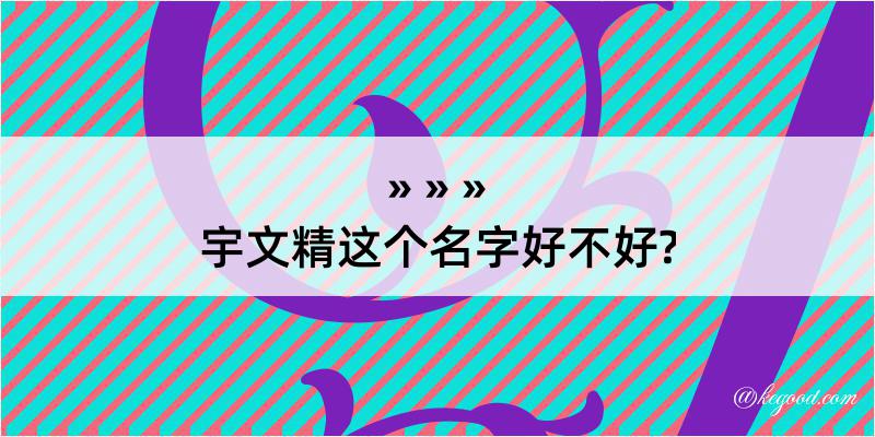 宇文精这个名字好不好?