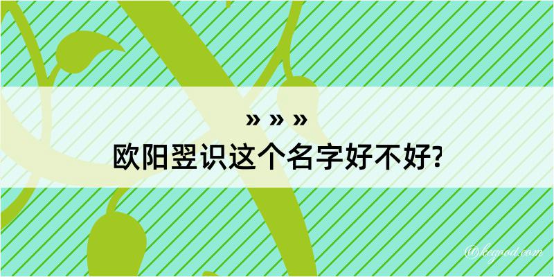 欧阳翌识这个名字好不好?