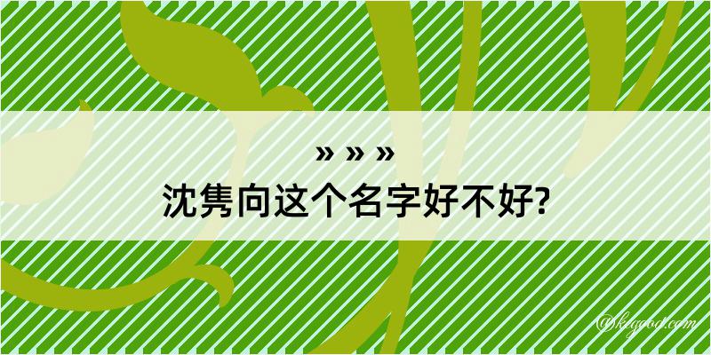 沈隽向这个名字好不好?