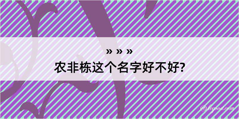 农非栋这个名字好不好?