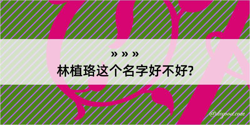 林植珞这个名字好不好?