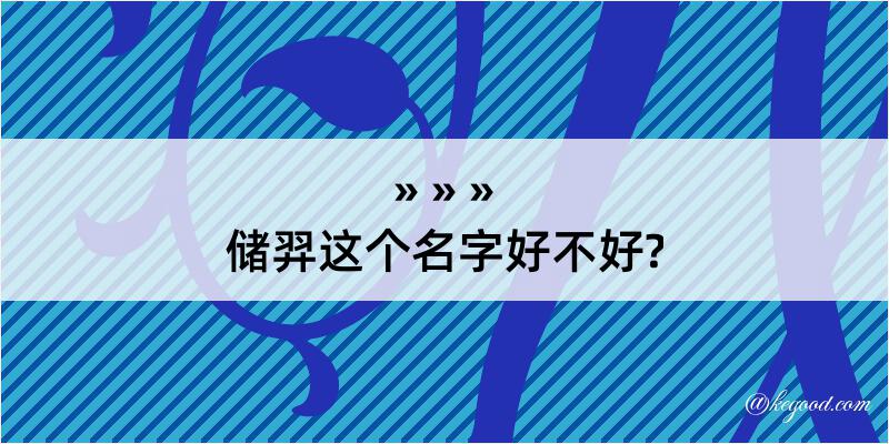 储羿这个名字好不好?