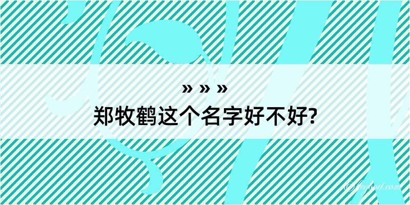 郑牧鹤这个名字好不好?