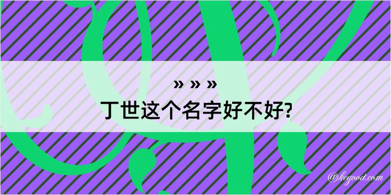 丁世这个名字好不好?