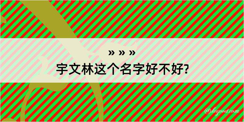 宇文林这个名字好不好?