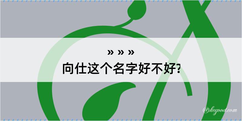 向仕这个名字好不好?